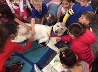 a group of children petting a white dog in a classroom